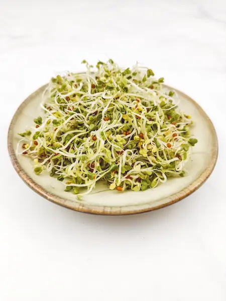 Germinados-01-E-book-Receitas-para-um-intestino-saudavel-prisao-de-ventre-Vera-Dias-Health-Coach